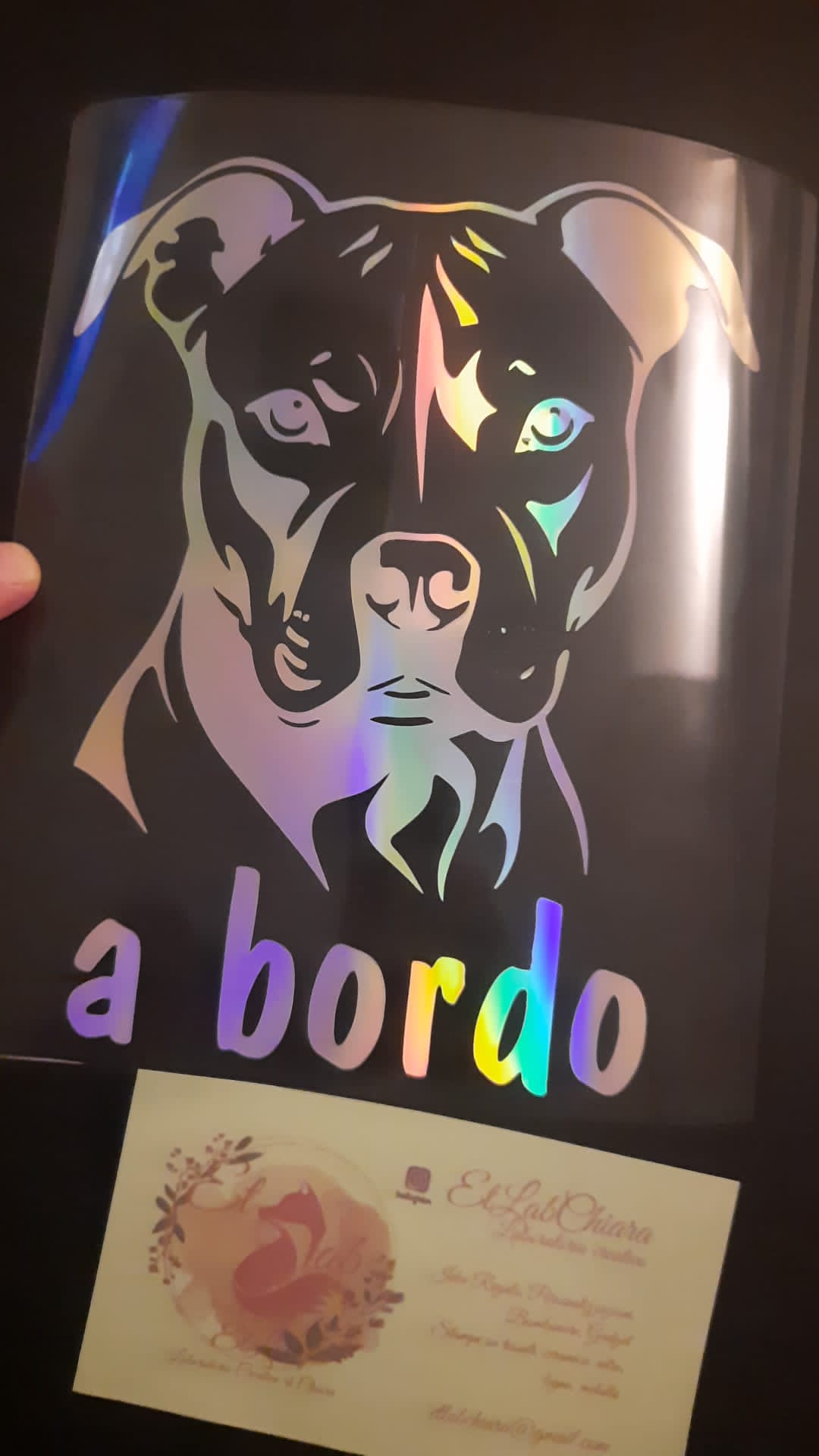 Adesivo Auto Pittbull